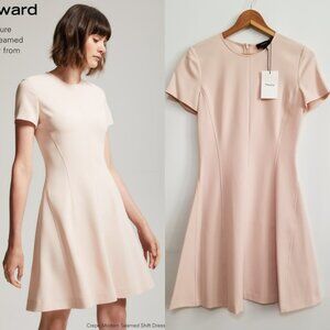 NWT Theory Modern Seamed Shift Dress in Sheer Pink, Admiral Crepe Size 6